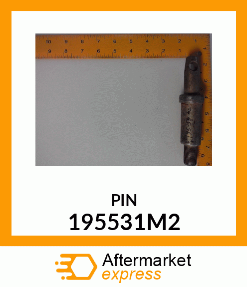 PIN 195531M2