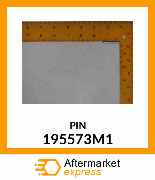 PIN 195573M1