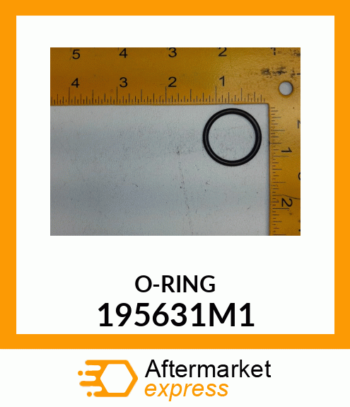 ORING 195631M1