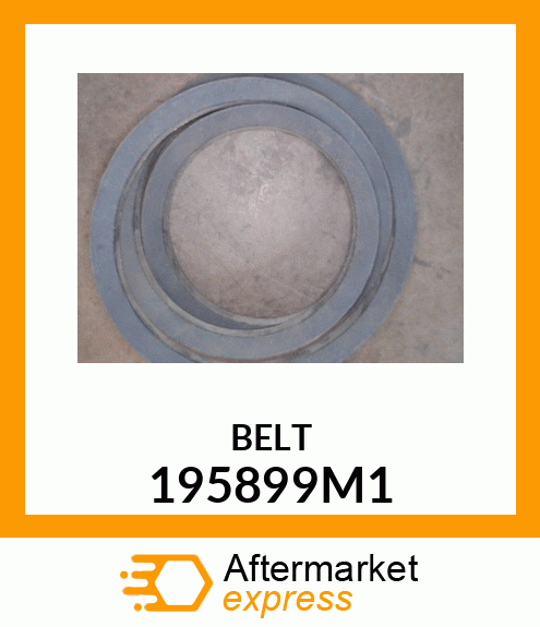 BELT 195899M1