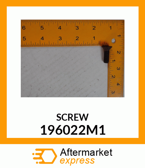 SCREW 196022M1