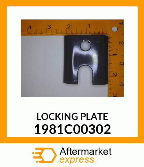 LOCKINGPLATE 1981C00302