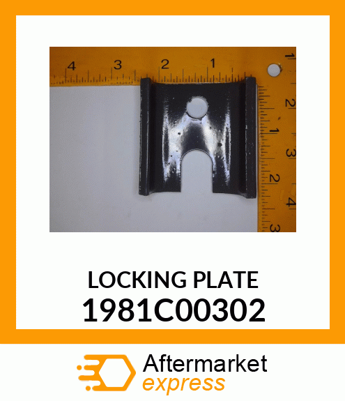 LOCKINGPLATE 1981C00302