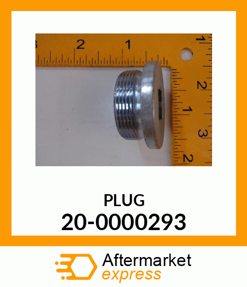 PLUG 20-0000293