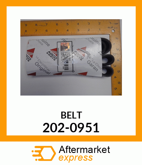 BELT 202-0951