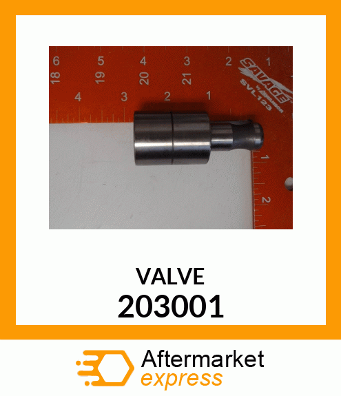 VALVE 203001