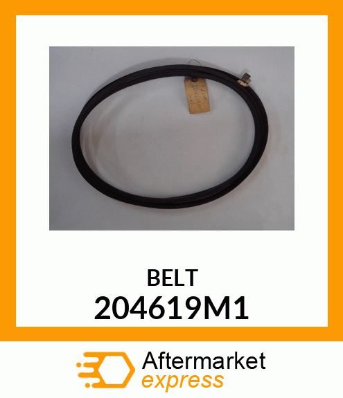 BELT 204619M1