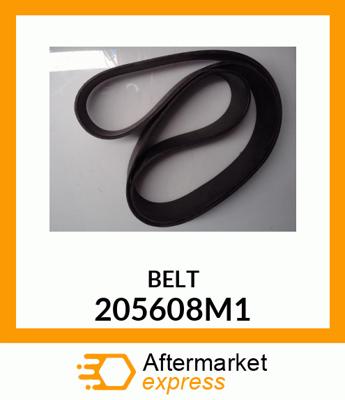 BELT 205608M1