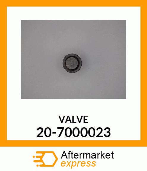 VALVE 20-7000023