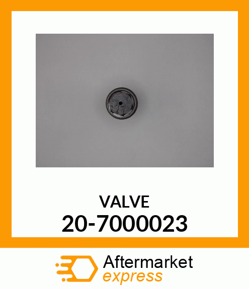 VALVE 20-7000023