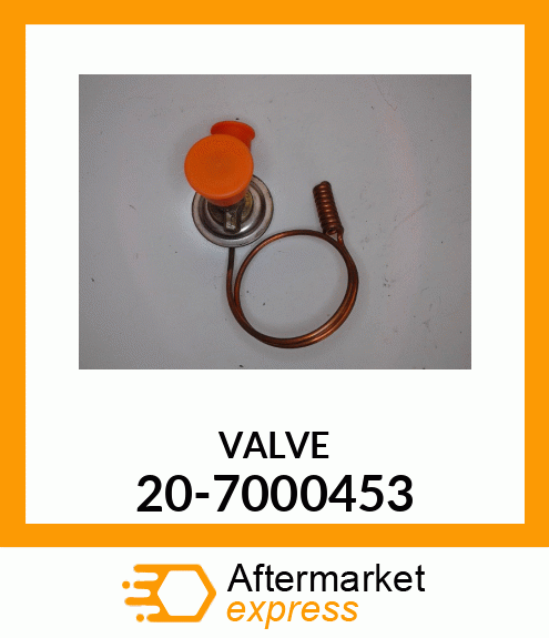 VALVE 20-7000453