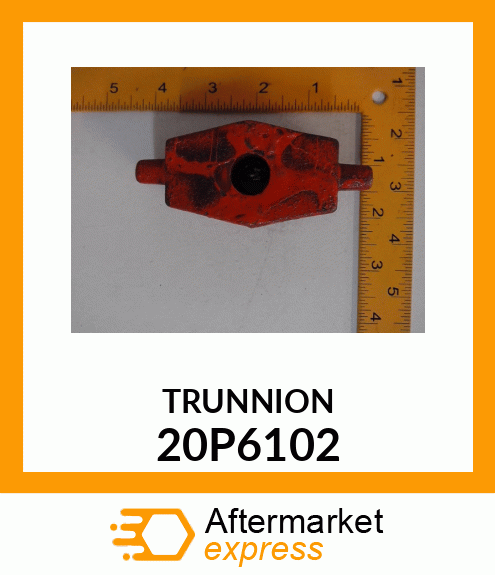 TRUNNION 20P6102