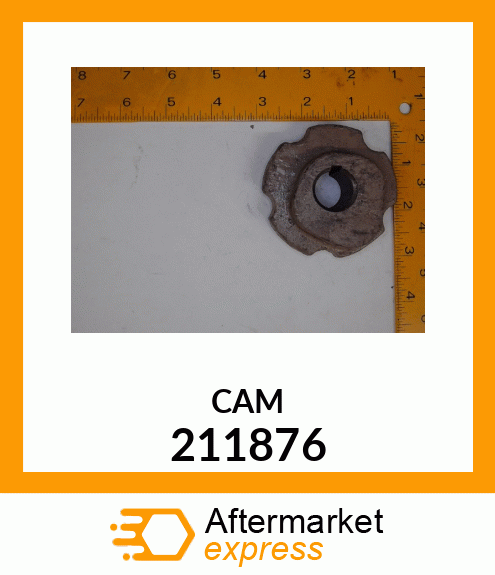 CAM 211876