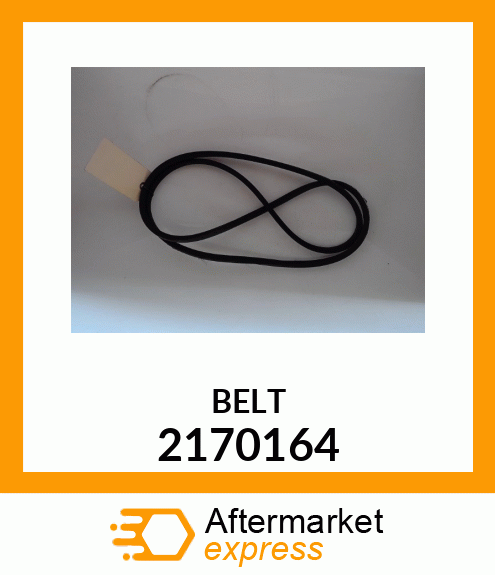 BELT 2170164