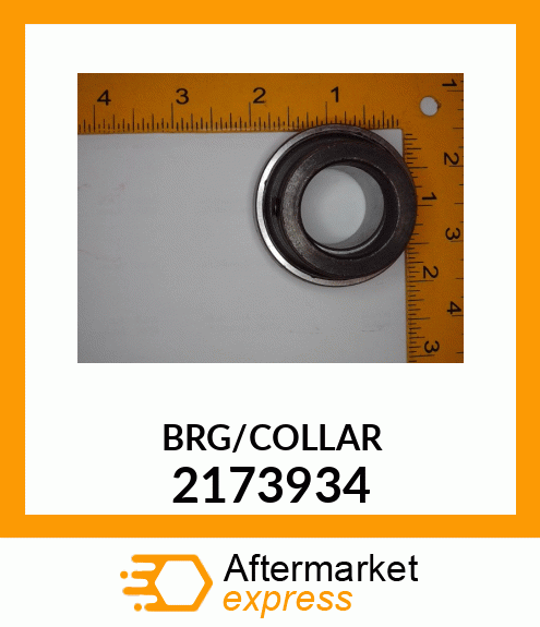 BRG/COLLAR 2173934