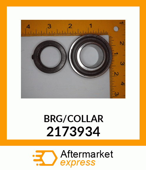 BRG/COLLAR 2173934