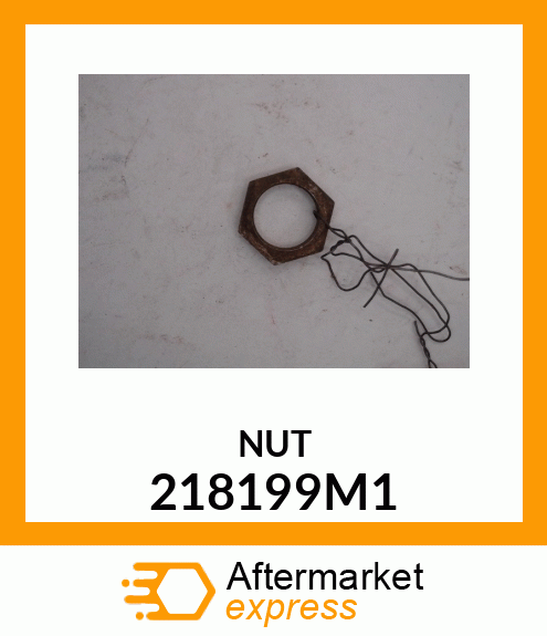 NUT 218199M1