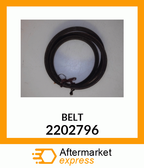 BELT 2202796