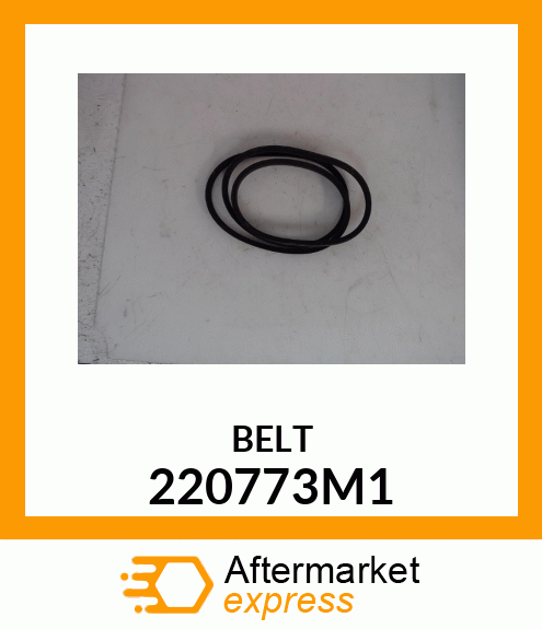 BELT 220773M1