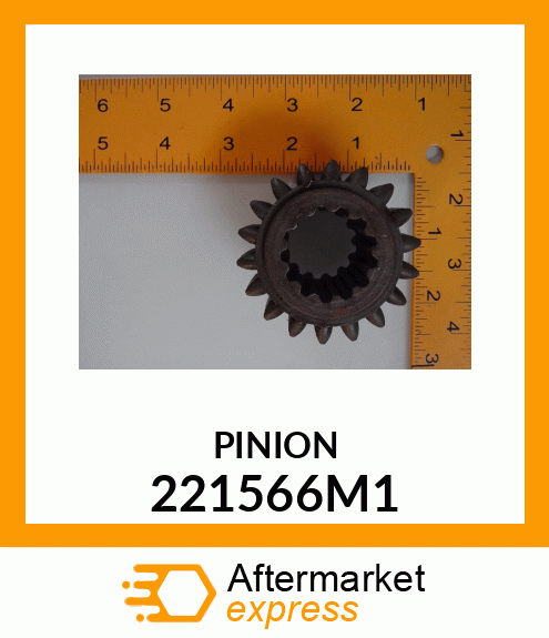 PINION 221566M1