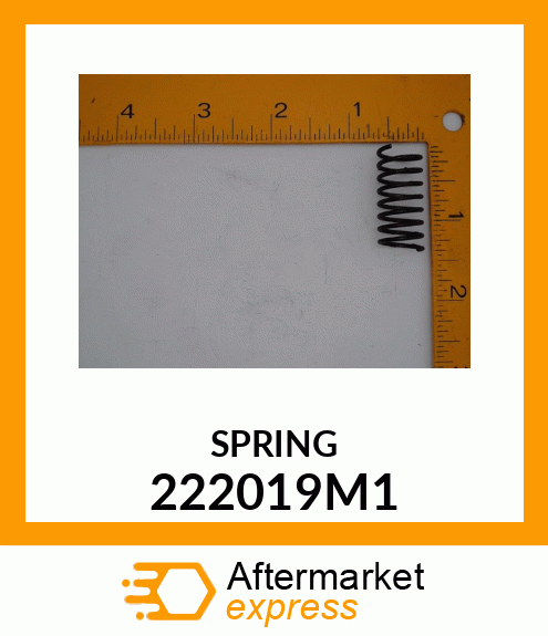 SPRING 222019M1