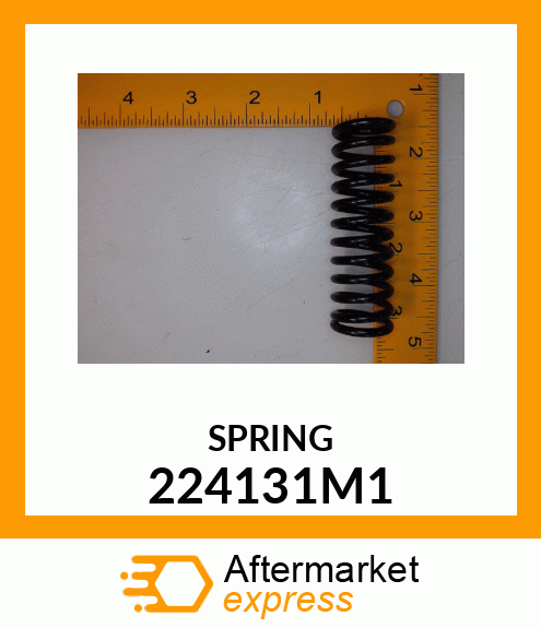 SPRING 224131M1