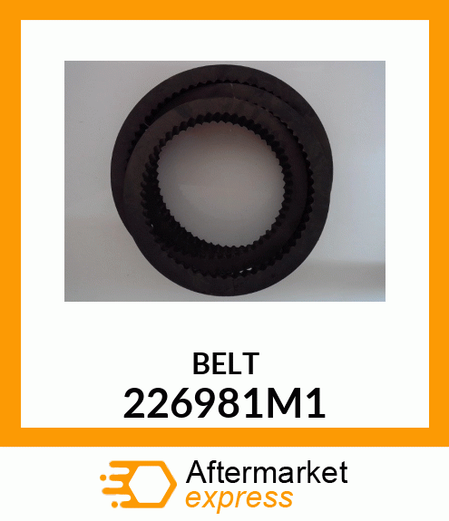 BELT 226981M1