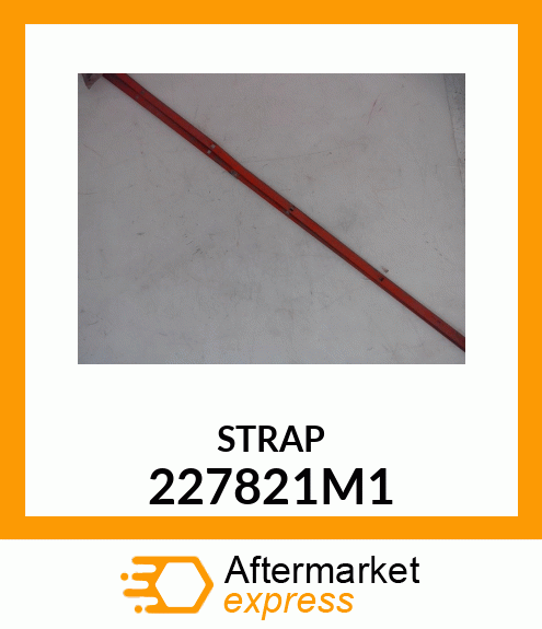 STRAP 227821M1