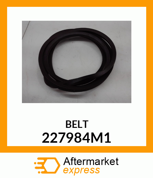 BELT 227984M1