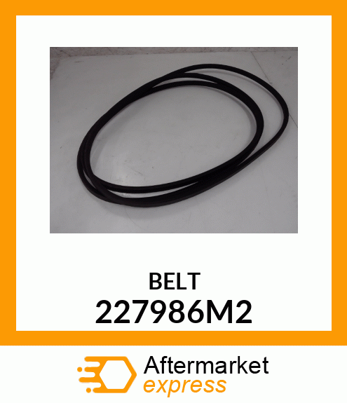 BELT 227986M2