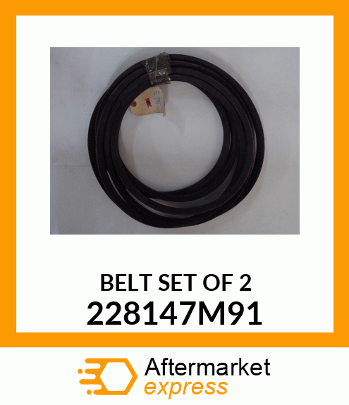 BELT SET OF 2 228147M91