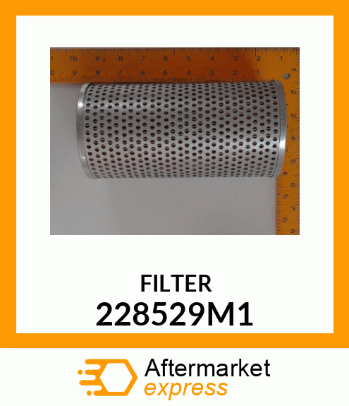 FILTER 228529M1