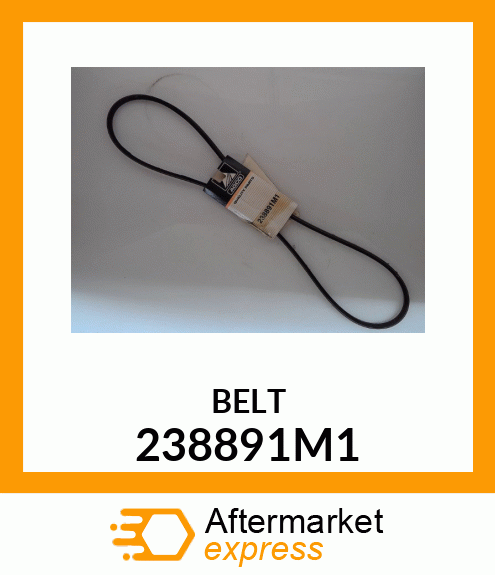 BELT 238891M1