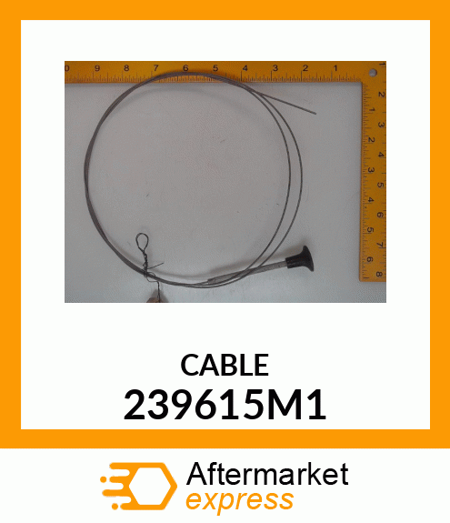 CABLE 239615M1