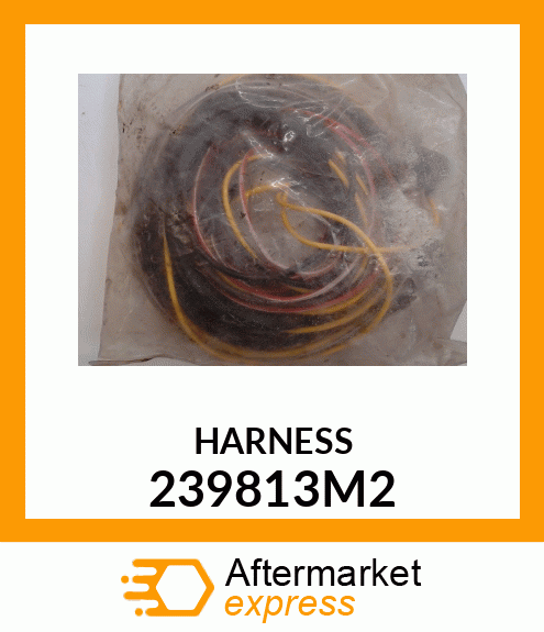 HARNESS 239813M2