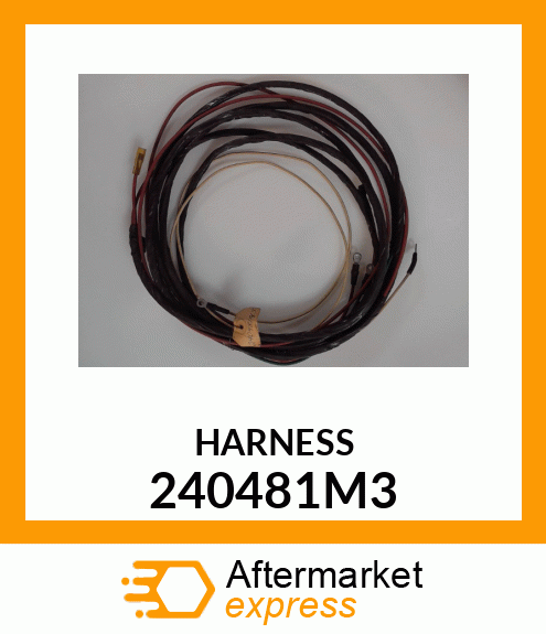 HARNESS 240481M3