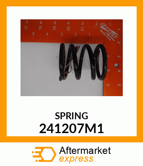 SPRING 241207M1