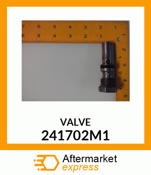 VALVE 241702M1