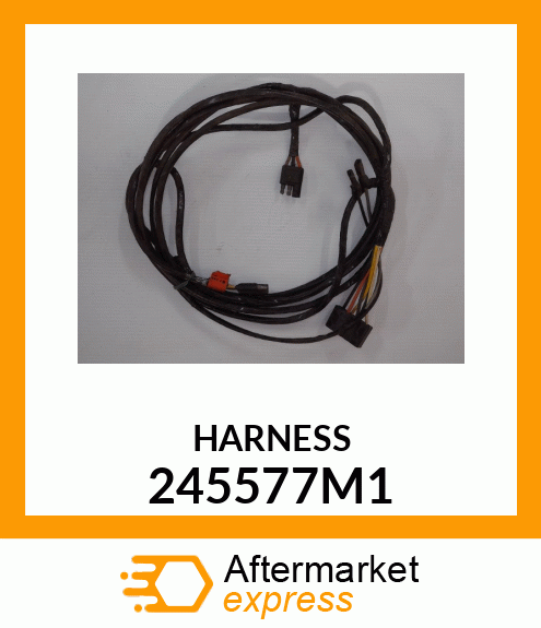 HARNESS 245577M1