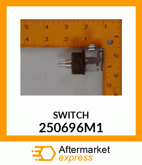 SWITCH 250696M1