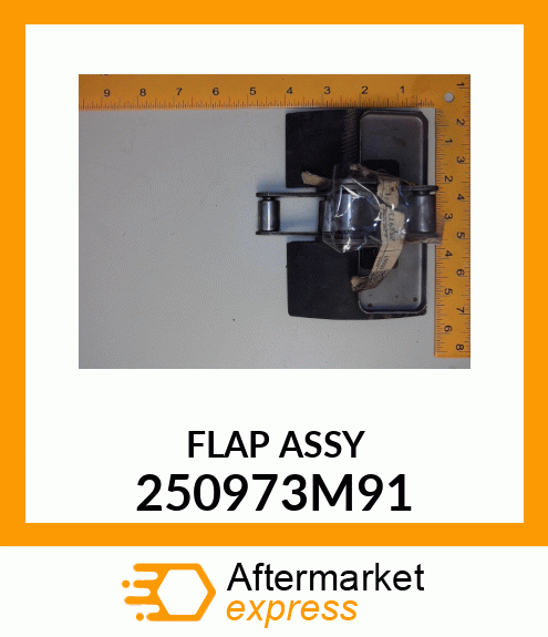 FLAPASSY 250973M91