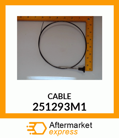 CABLE 251293M1