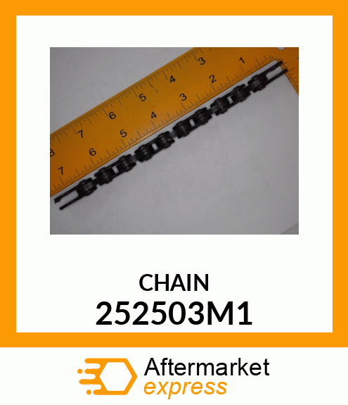 CHAIN 252503M1