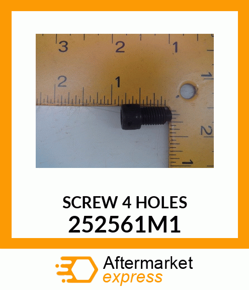 SCREW4HOLES 252561M1