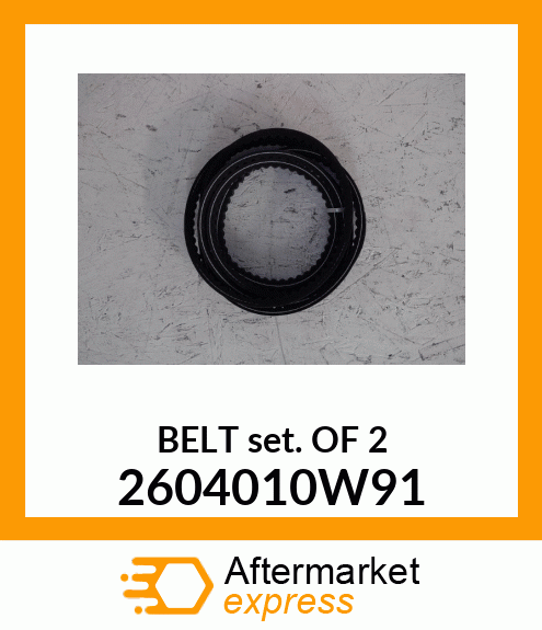 BELT_SET_OF_2 2604010W91