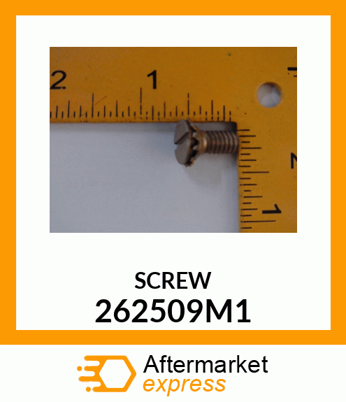 SCREW 262509M1