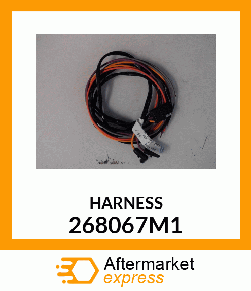 HARNESS 268067M1