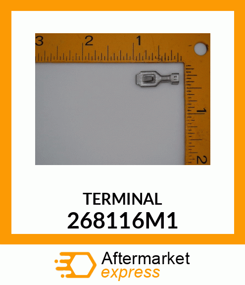 TERMINAL 268116M1