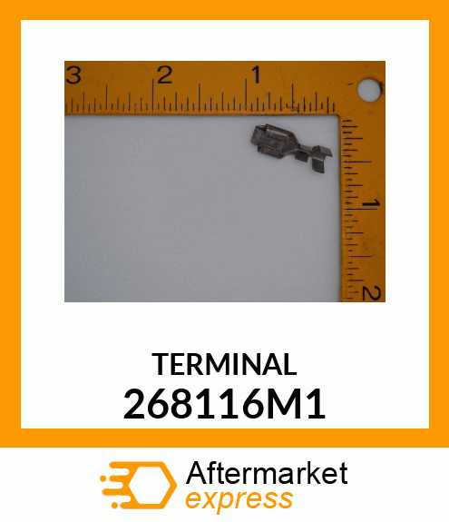 TERMINAL 268116M1