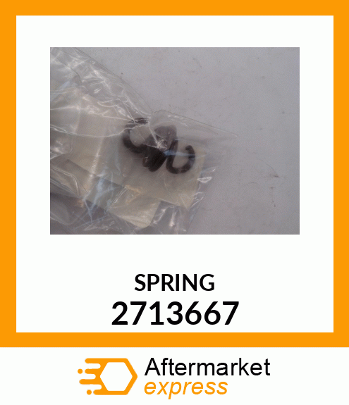 SPRING 2713667